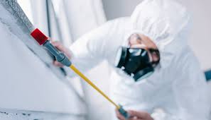 Best Commercial Pest Control  in Walkersville, MD